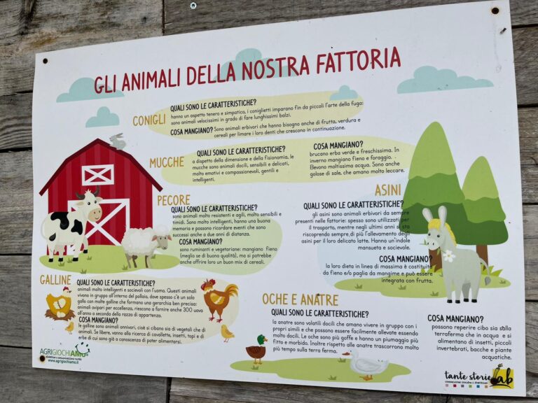 Visita alla Fattoria Didattica “Casa Rural”, classi seconde scuola primaria IC “G.B. Moscato”
