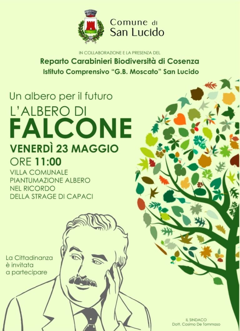 Un albero per il futuro: l’albero di Falcone